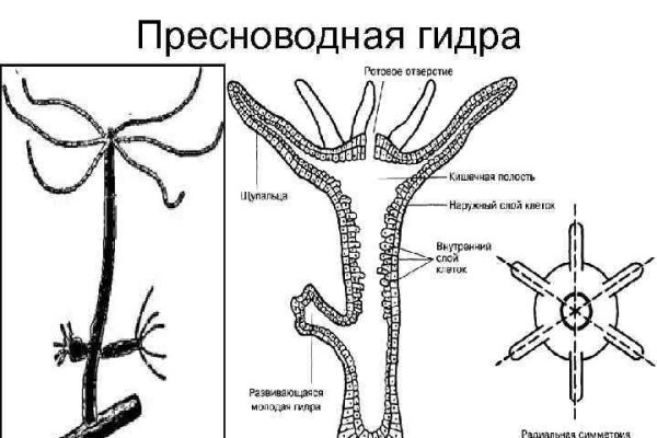 Кракен ссылка тор