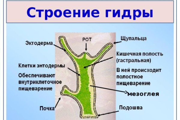 Нарко маркетплейсы