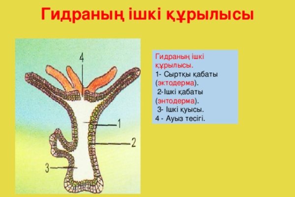 Как попасть на сайт кракен